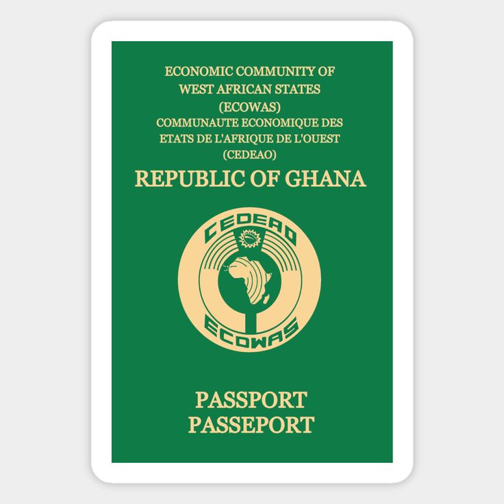 Foreign Affairs Ministry lists categories of recalled diplomatic and service passports