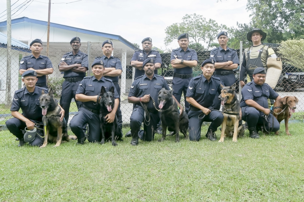 Malaysia’s K9 Unit: How elite police dogs are trained to fight crime